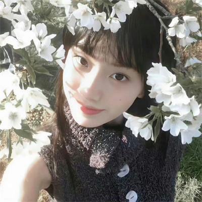 百妖谱·京师篇封面